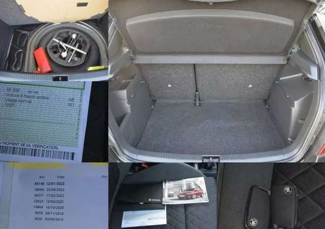 SKODA Fabia 1.0 TSI Monte Carlo