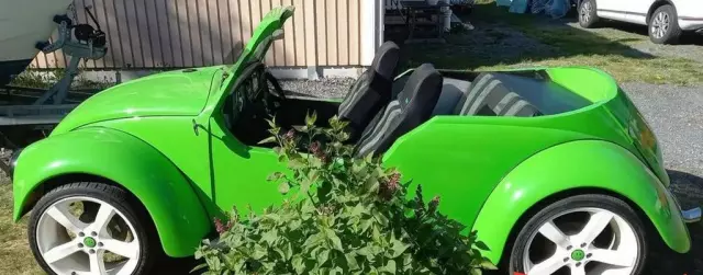 VOLKSWAGEN Beetle 