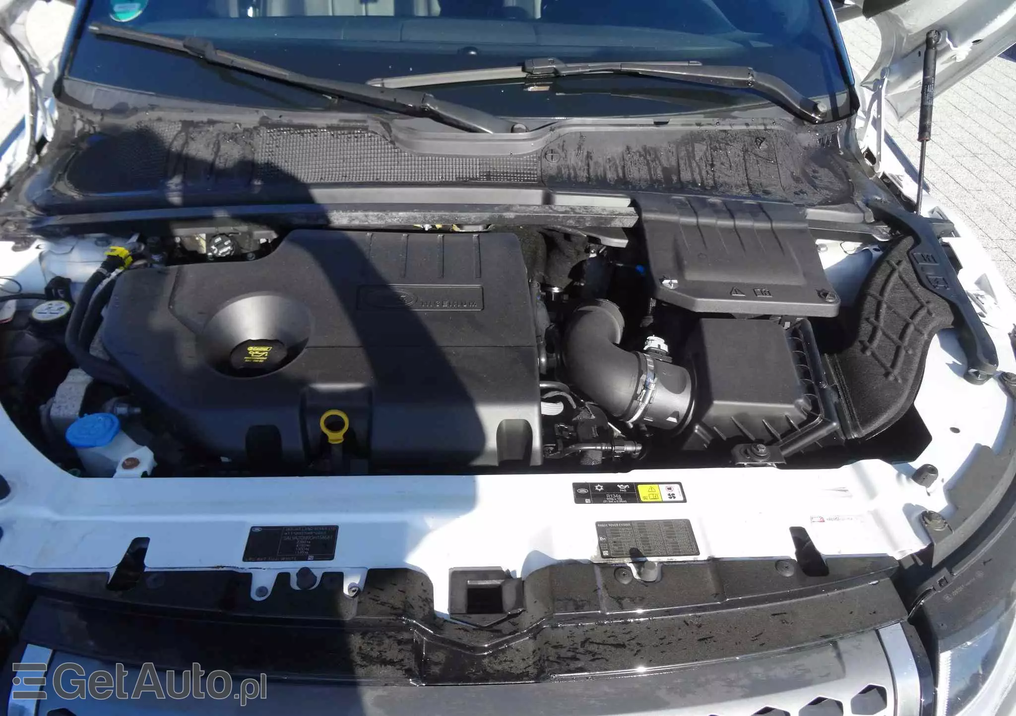 LAND ROVER Range Rover Evoque 2.0 D150 R-Dynamic