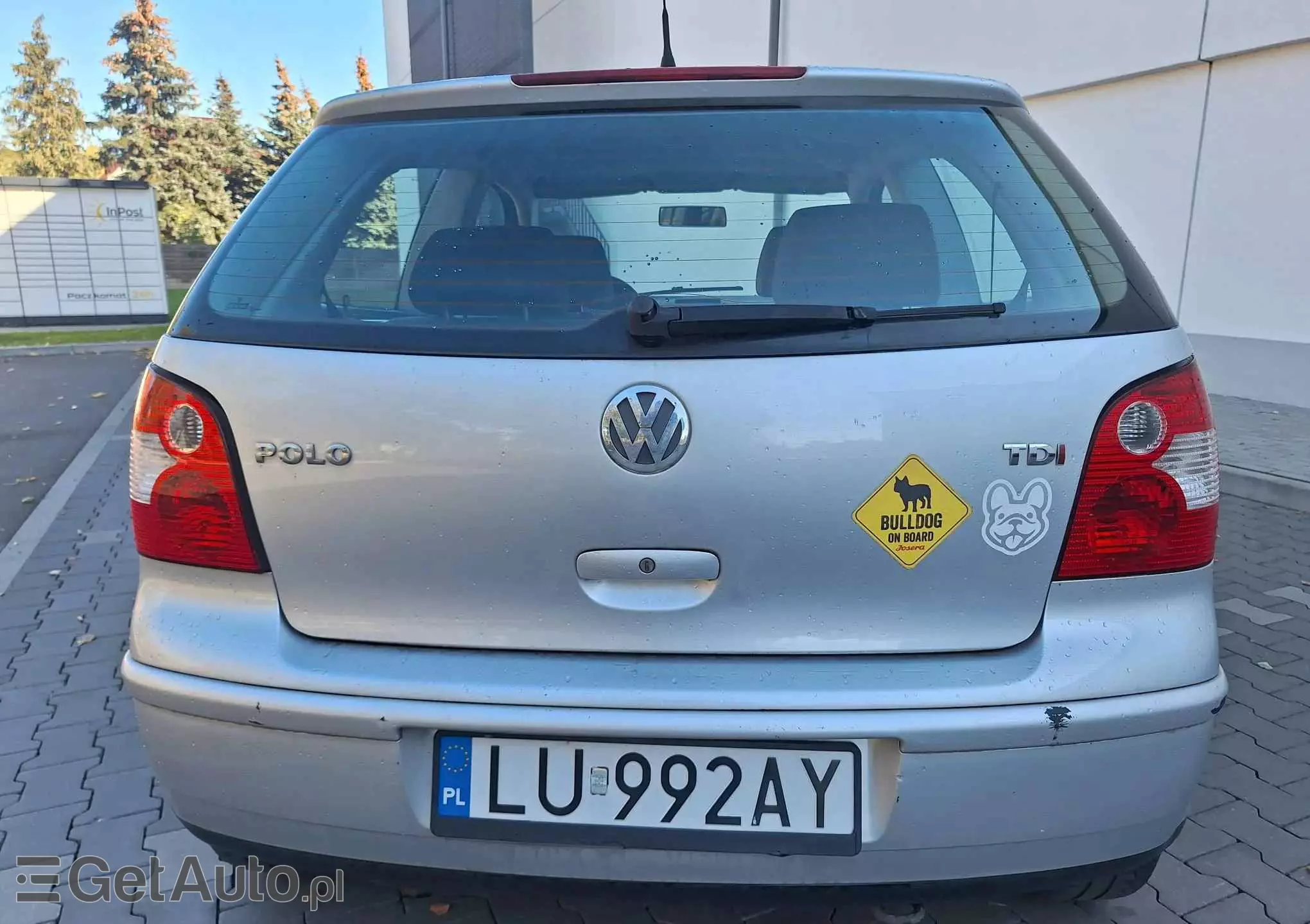 VOLKSWAGEN Polo Basis