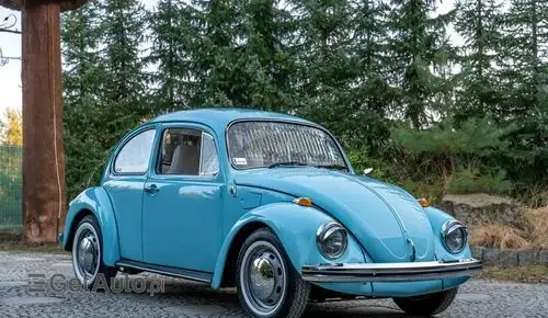 VOLKSWAGEN Garbus 