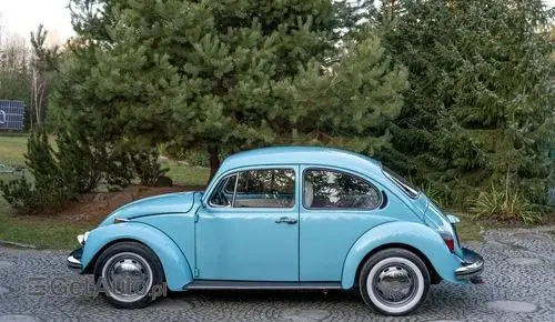 VOLKSWAGEN Garbus 