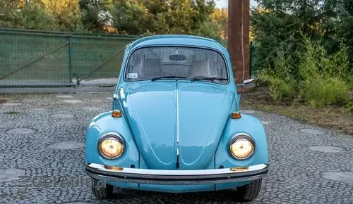 VOLKSWAGEN Garbus 