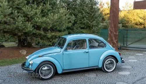 VOLKSWAGEN Garbus 