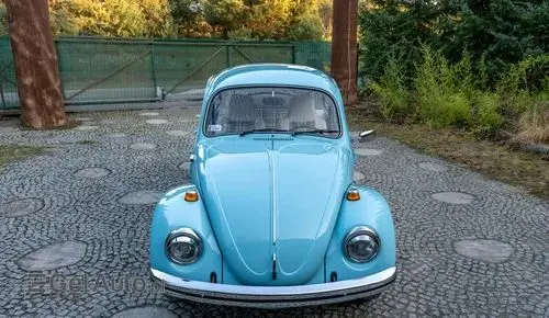VOLKSWAGEN Garbus 