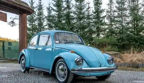 VOLKSWAGEN Garbus 