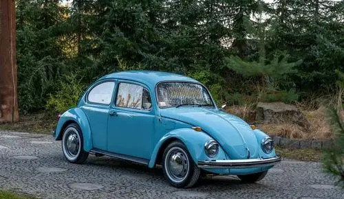 VOLKSWAGEN Garbus 