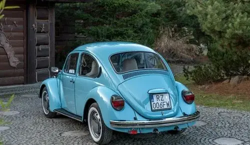 VOLKSWAGEN Garbus 