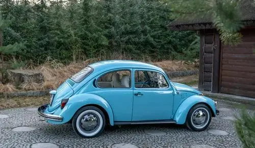 VOLKSWAGEN Garbus 