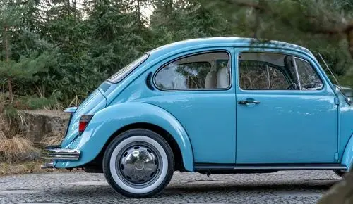 VOLKSWAGEN Garbus 