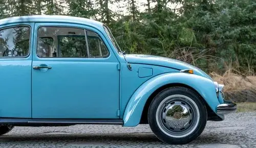 VOLKSWAGEN Garbus 