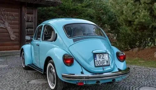 VOLKSWAGEN Garbus 