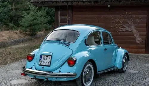 VOLKSWAGEN Garbus 