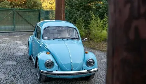 VOLKSWAGEN Garbus 