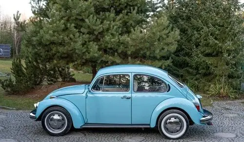 VOLKSWAGEN Garbus 
