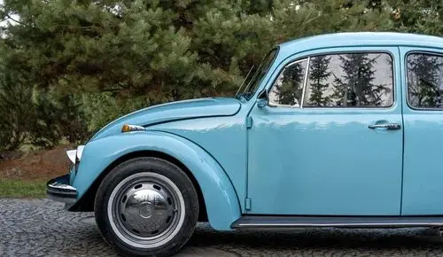 VOLKSWAGEN Garbus 