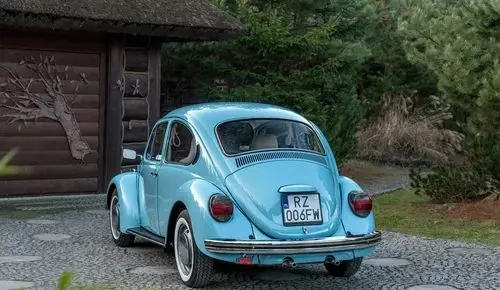 VOLKSWAGEN Garbus 