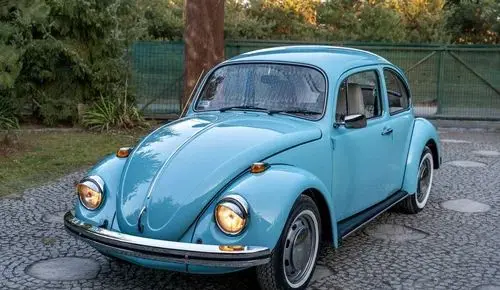 VOLKSWAGEN Garbus 