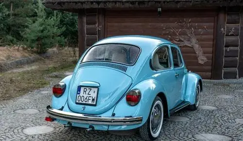 VOLKSWAGEN Garbus 