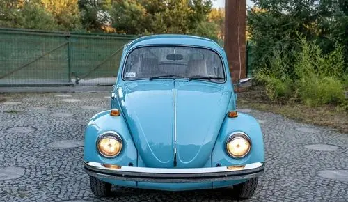VOLKSWAGEN Garbus 