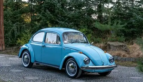 VOLKSWAGEN Garbus 