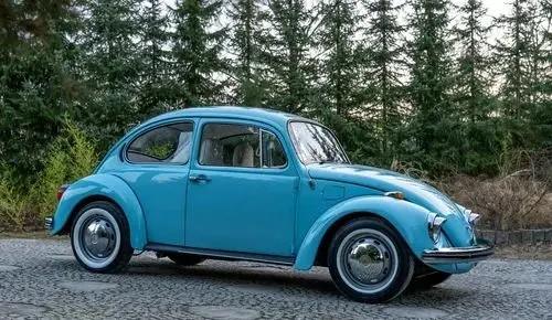 VOLKSWAGEN Garbus 