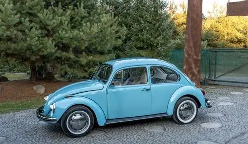 VOLKSWAGEN Garbus 