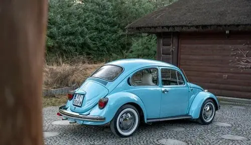 VOLKSWAGEN Garbus 