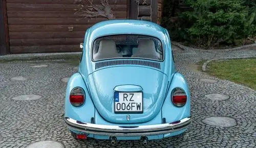 VOLKSWAGEN Garbus 
