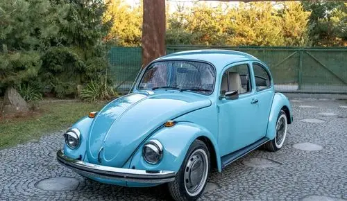 VOLKSWAGEN Garbus 