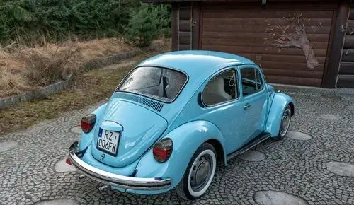 VOLKSWAGEN Garbus 
