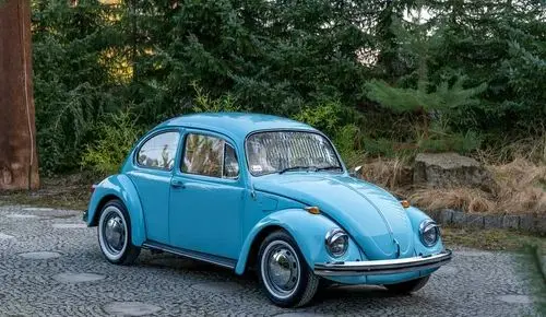 VOLKSWAGEN Garbus 