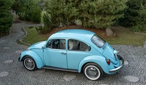 VOLKSWAGEN Garbus 
