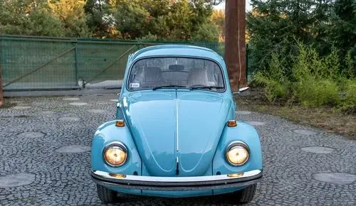 VOLKSWAGEN Garbus 