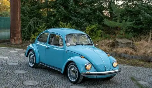 VOLKSWAGEN Garbus 