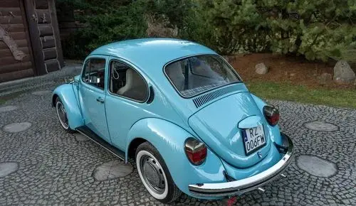 VOLKSWAGEN Garbus 