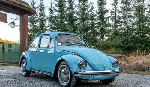 VOLKSWAGEN Garbus 