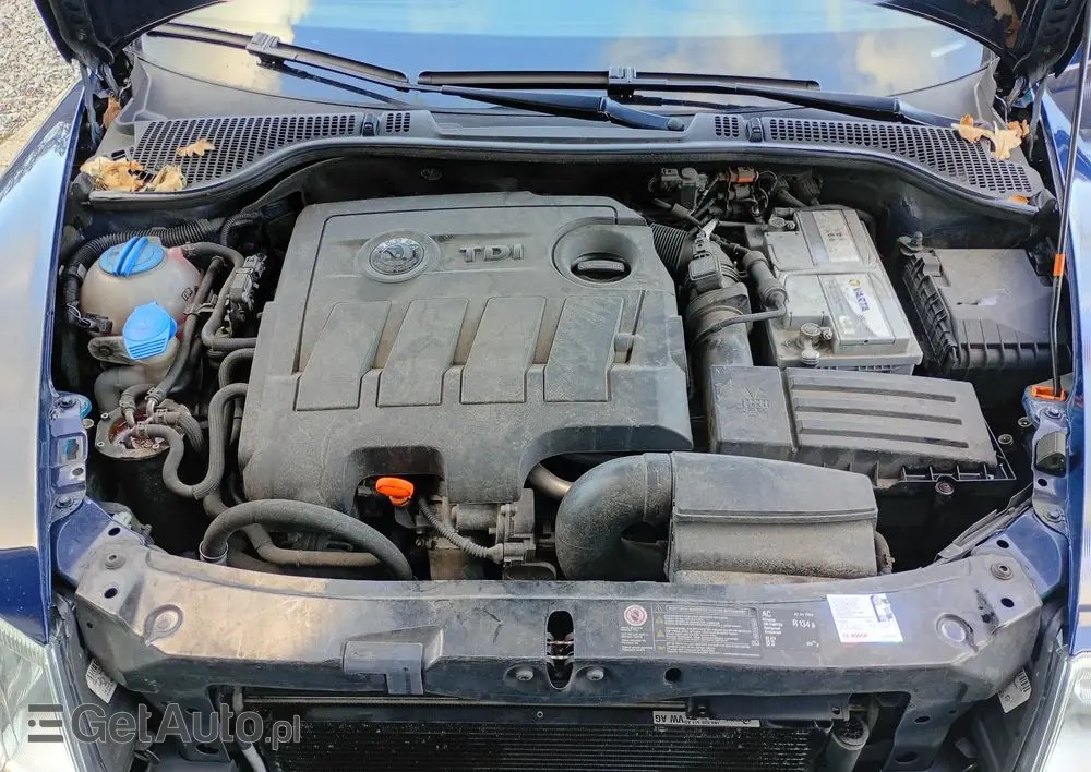 SKODA Octavia 1.6 TDI Ambiente DSG