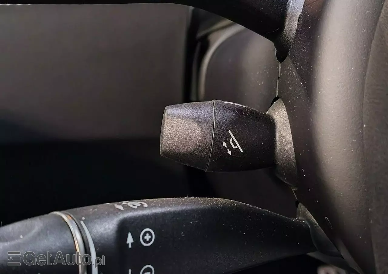 TESLA Model X Performance