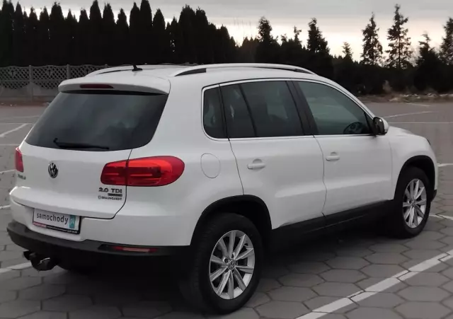 VOLKSWAGEN Tiguan 2.0 TDI DPF 4Motion BlueMotion Technology Cup Track & Style