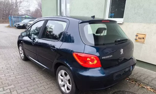 PEUGEOT 307 