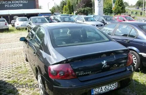 PEUGEOT 407 