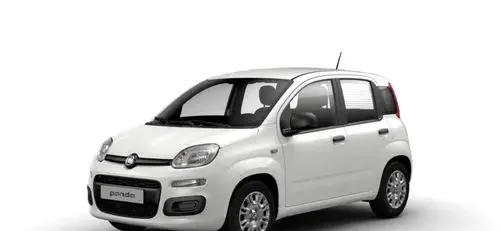 FIAT Pandina 