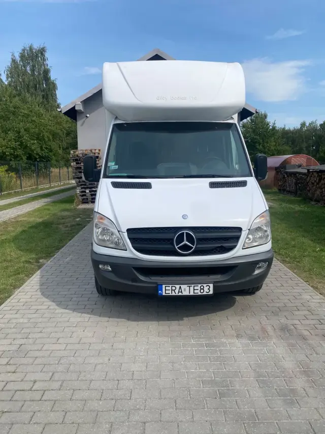 MERCEDES-BENZ Sprinter 313