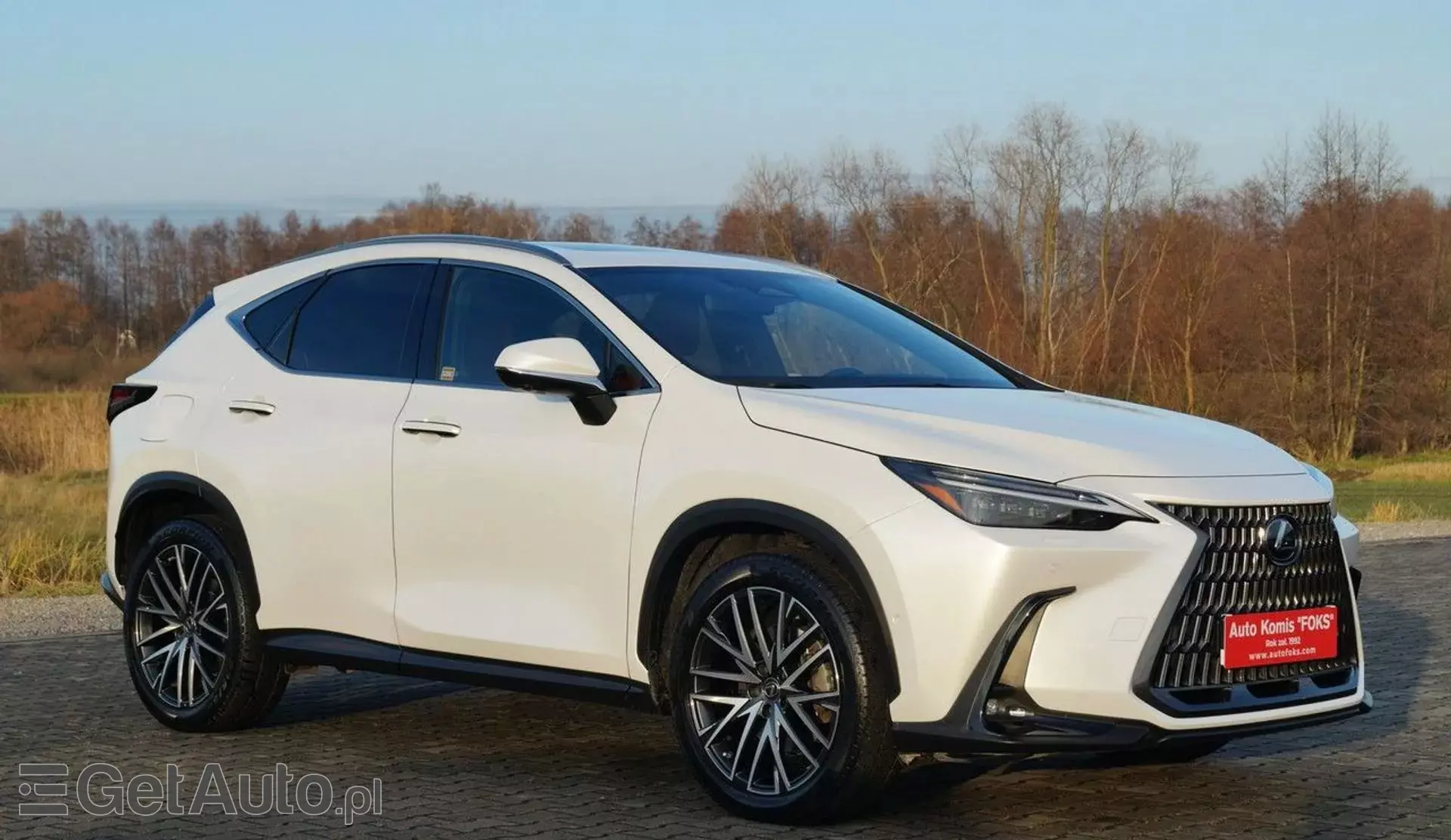 LEXUS NX 450h+ (309 KM) Plug-in Hybrid AWD CVT
