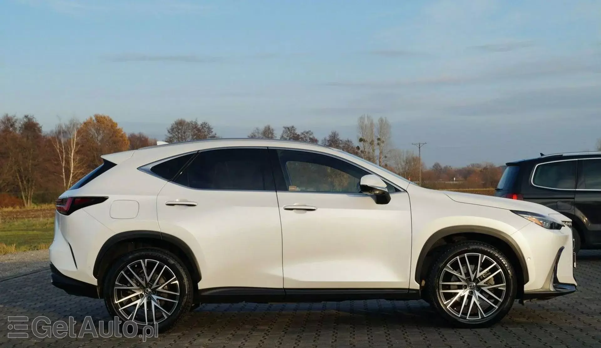 LEXUS NX 450h+ (309 KM) Plug-in Hybrid AWD CVT