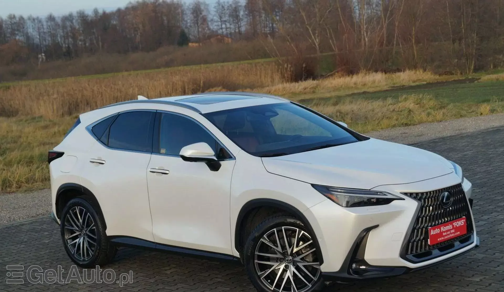 LEXUS NX 450h+ (309 KM) Plug-in Hybrid AWD CVT