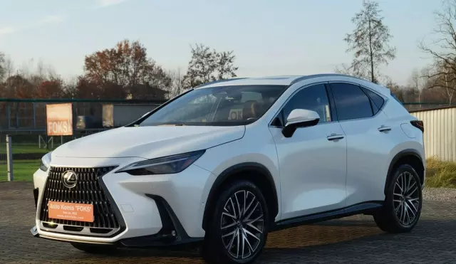 LEXUS NX 450h+ (309 KM) Plug-in Hybrid AWD CVT
