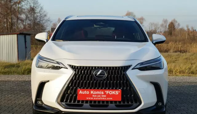 LEXUS NX 450h+ (309 KM) Plug-in Hybrid AWD CVT