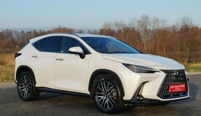 LEXUS NX 450h+ (309 KM) Plug-in Hybrid AWD CVT